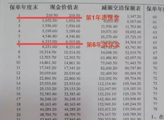 合同里的現金價(jià)值