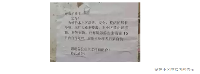 為什么不買(mǎi)保險就不讓養狗？