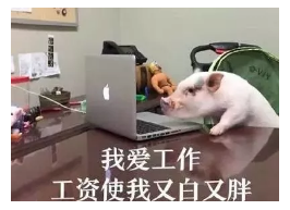 發(fā)生車(chē)禍如何快速理賠？