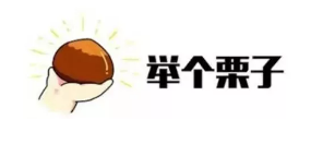 什么是年金轉換？
