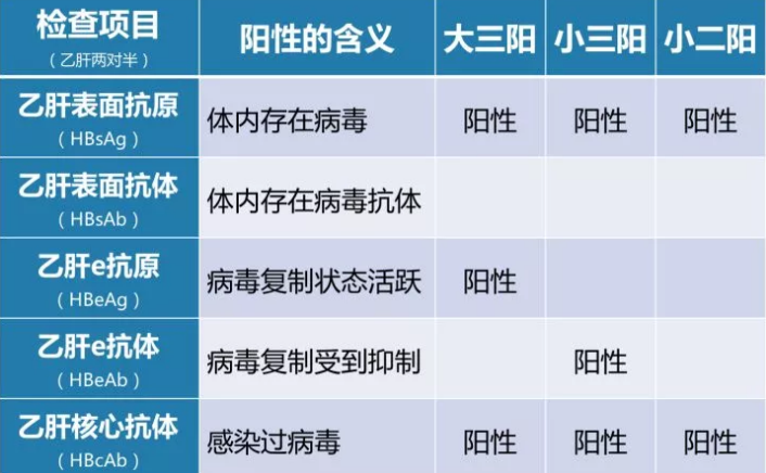 乙肝病毒攜帶者應該如何正確投保？