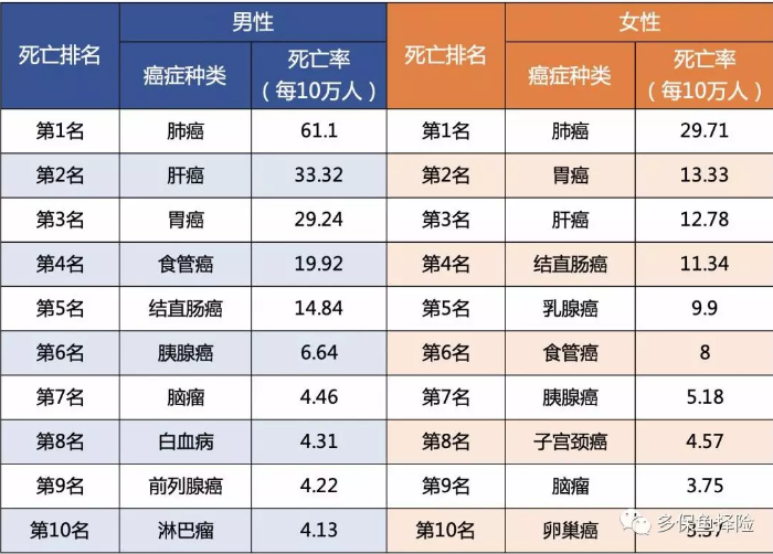 女性高發(fā)重疾怎么選？