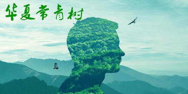 華夏常青樹(shù)多倍版和華夏福哪個(gè)好 包含自然身故嗎？